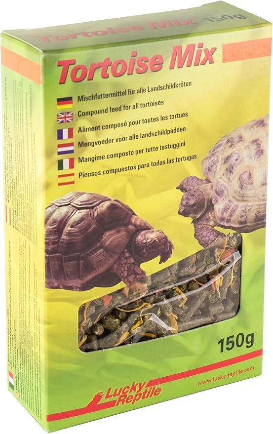 Alimentation tortue terrestre : bien la nourrir