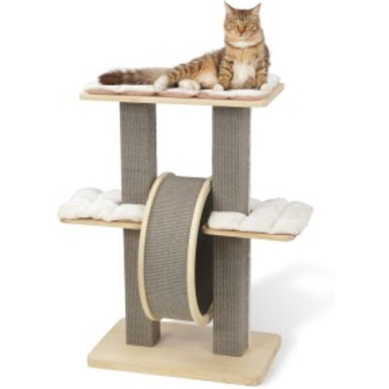 Mon chat perd ses poils : causes, solutions et l'importance d'une bonne alimentation