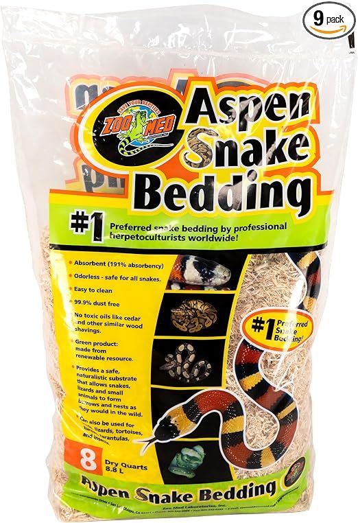 Gecko à crête : alimentation, substrat et équipement pour bien débuter