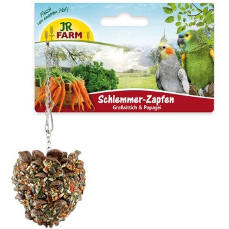 Perruche à Collier : guide complet avant adoption
